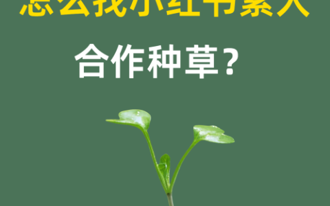 怎么找小红书素人合作种草？