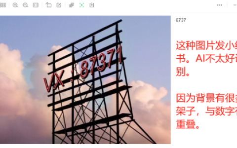 小红书笔记，意向客户私信咨询如何引导？