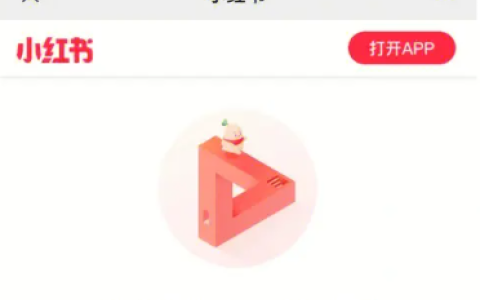 小红书笔记审核问题