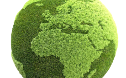 小红书网页版在哪里打开?