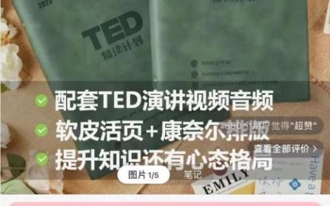 分享一个虚拟赛道,卖TED演讲资源