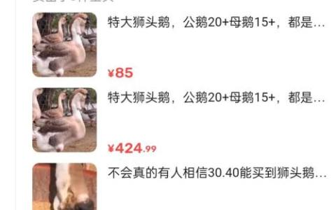 又是农业赛道，这种东西都能卖