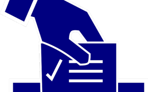 小红书投票怎样取消投票?